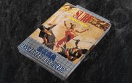 Surf Ninjas
